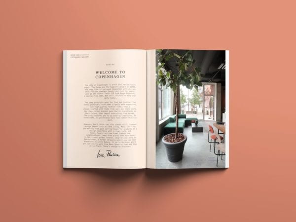 The Copenhagen Guide - Coffee Table Books